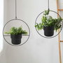 Aberto Design Jardinera Negra de 130 cm